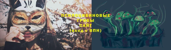 apvp Алексеевка
