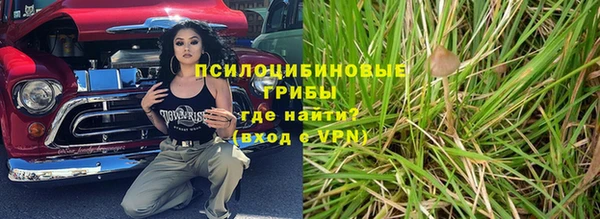не бодяженный Алексин