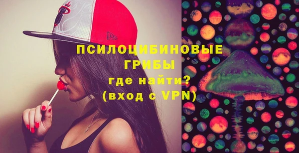 PSILOCYBIN Остров