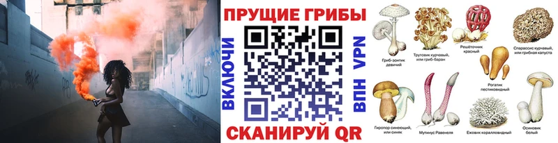 где найти наркотики  мега   Псилоцибиновые грибы Magic Shrooms  Чебаркуль 